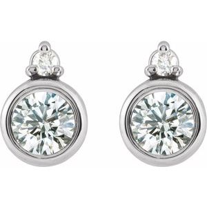14K White 4 mm 1/2 CTW Natural Diamond Earrings 88546:336:P