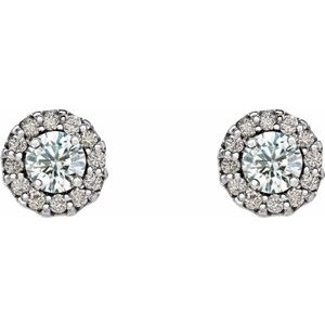 14K White 1/4 CTW Natural Diamond Earrings 86509:680:P
