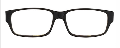 ST. Moritz Logan Eyeglasses