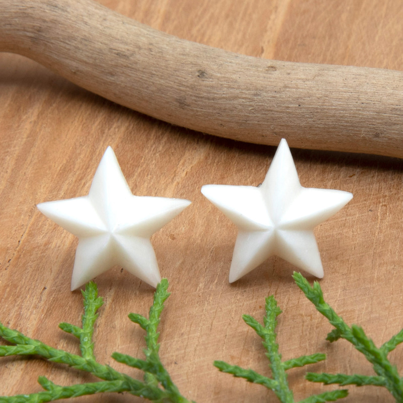 Star-Shaped Button Earrings with Sterling Silver Posts, "Twinkle Star"
