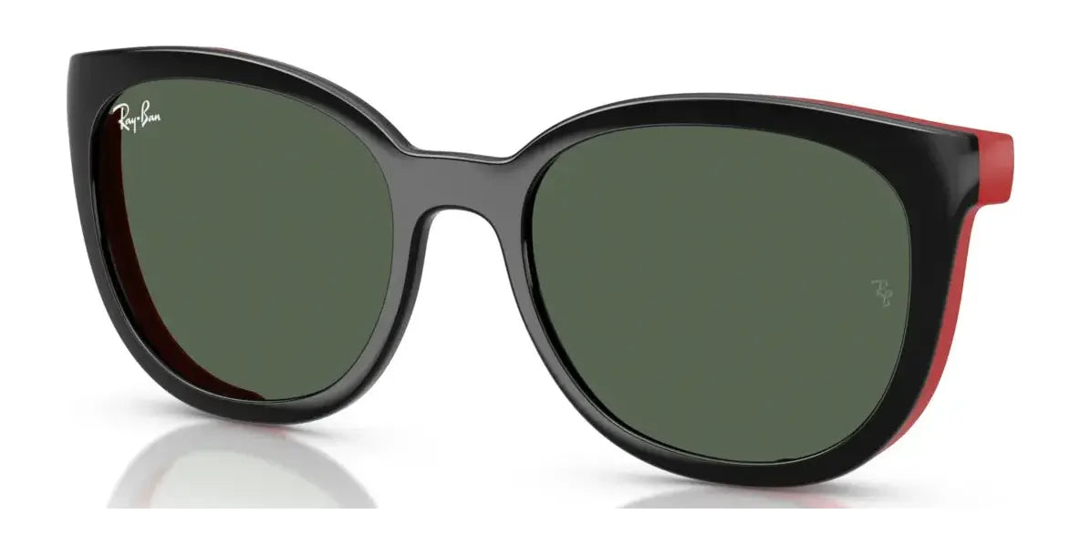 Ray-Ban RY1631C Clip-On Sunglasses