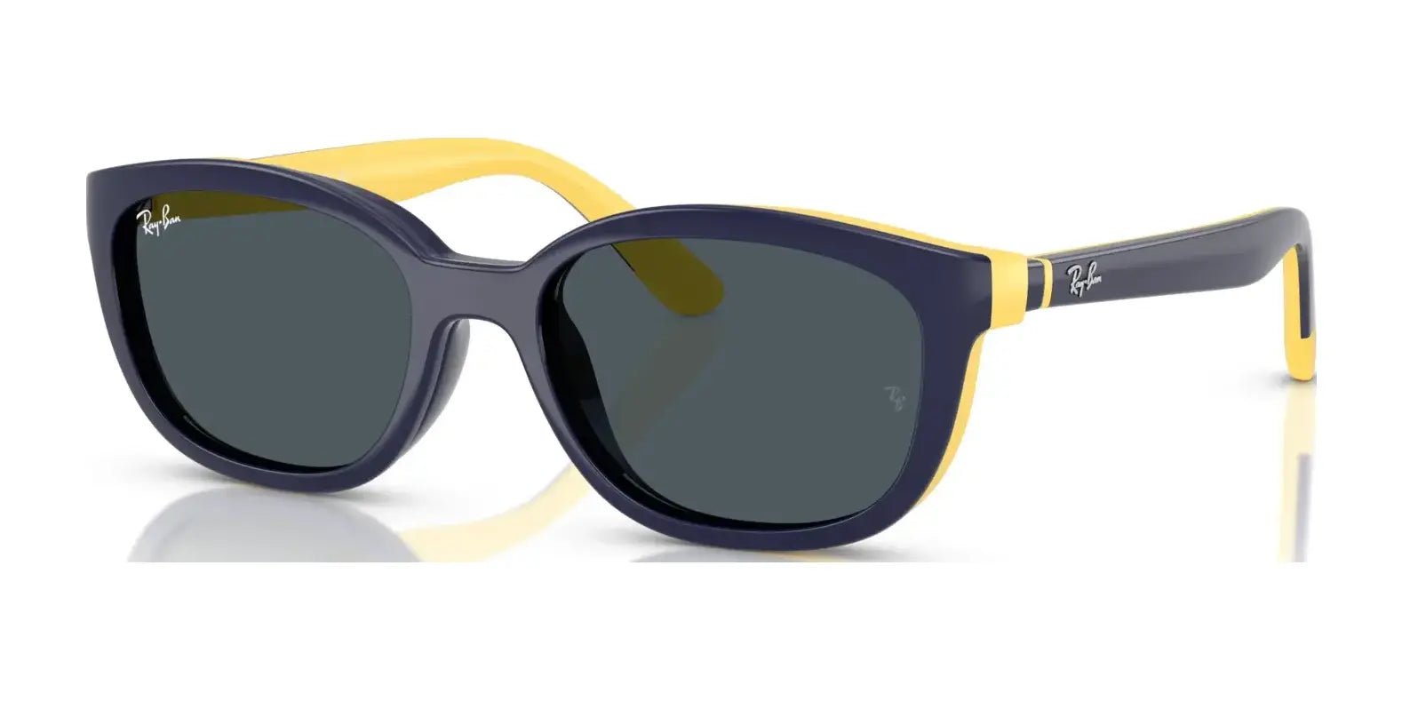 Ray-Ban RY1632FC Clip-On Sunglasses | Size 48