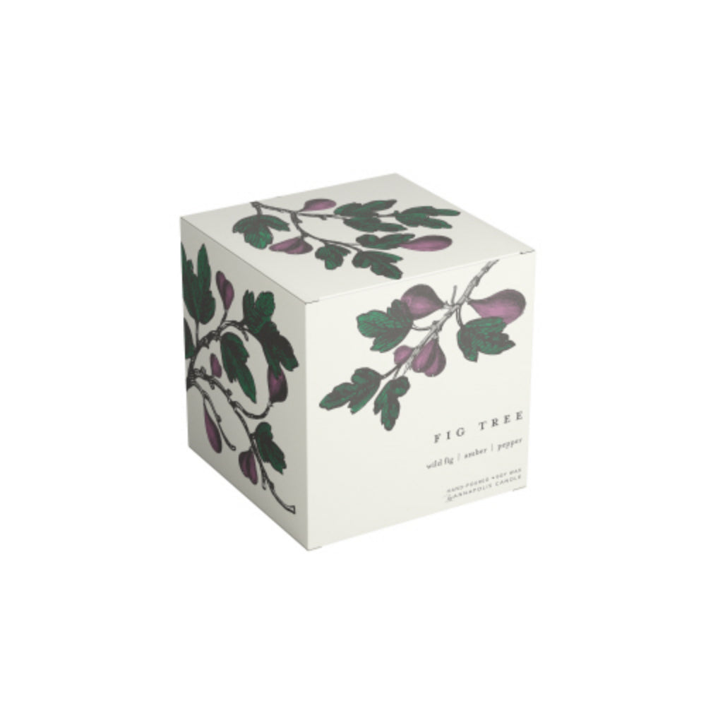 ssi_18840_AC381.jpg Annapolis Candle Terrace: Fig Tree Boxed Candle